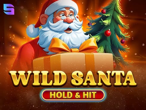 Wild Santa - Hold and Hit game cover
